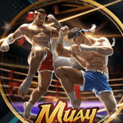 Arena333 Arena333 APK icon