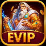 EVIP EVIP APK icon