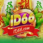 ID66 ID66 APK icon