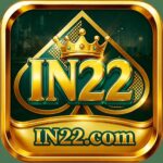 IN22 IN22 APK icon