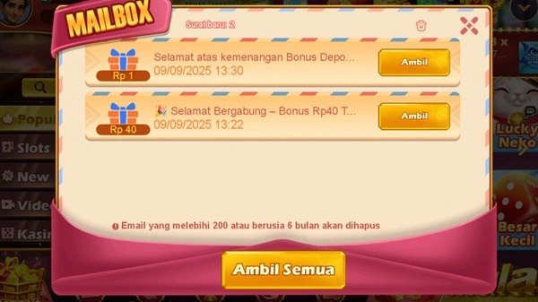 RSNVIP6 RSNVIP6